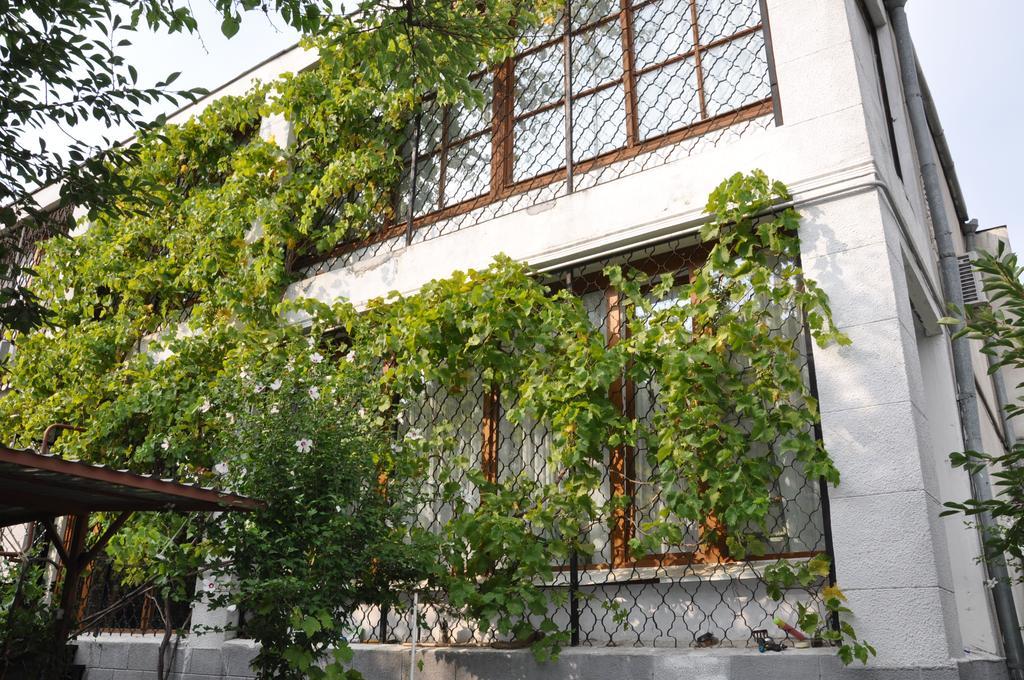 Villa Ivana Οδησσός Εξωτερικό φωτογραφία